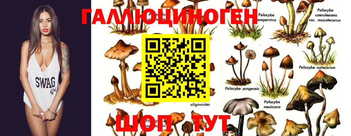 Псилоцибиновые грибы MAGIC MUSHROOMS Дальнереченск