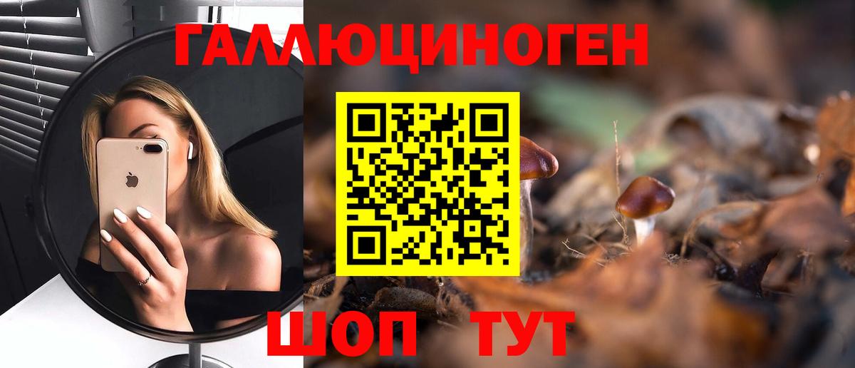 Галлюциногенные грибы мухоморы  Галлюциногенные грибы ЛСД  Вход с VPN  Дальнереченск 